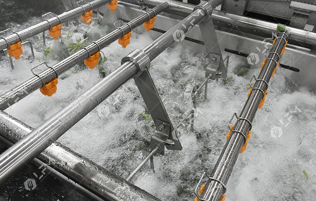 vegetable washing machine