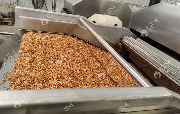 birista frying machine