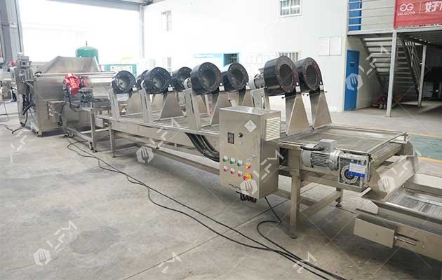 chicken skin snack frying machine