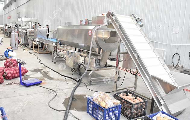 Taro chips production line