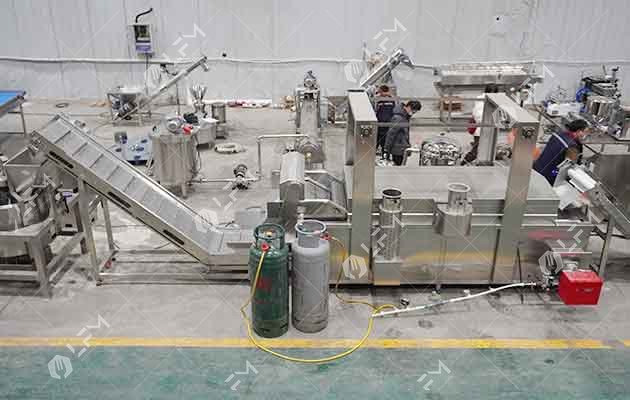 sunflower seed frying line