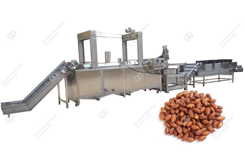 Fried Peanut Processing Plant