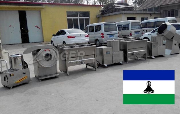 French fries Machine to Lesotho