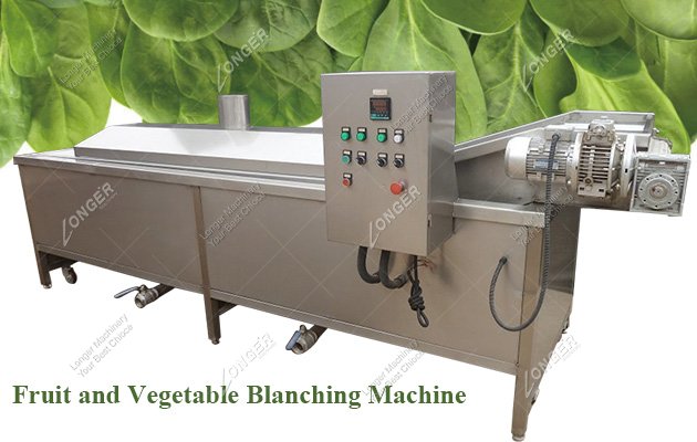 Continuous Belt Blanching Machine for Vegetables