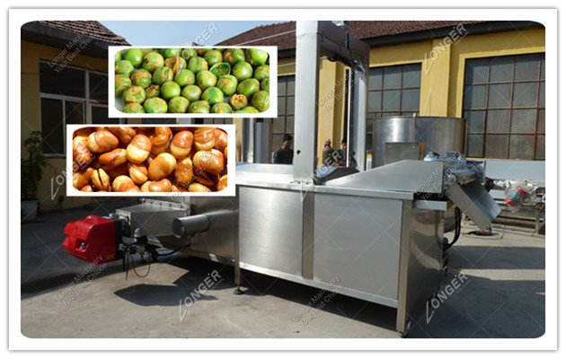 Stainless Steel Conveyor Continuous Frying Machine