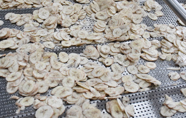 plantain chips processing machine