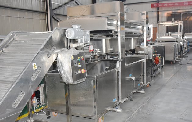 crisp fried onion processing machine Indonesia