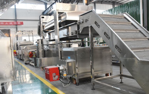 fried onion making machine factory