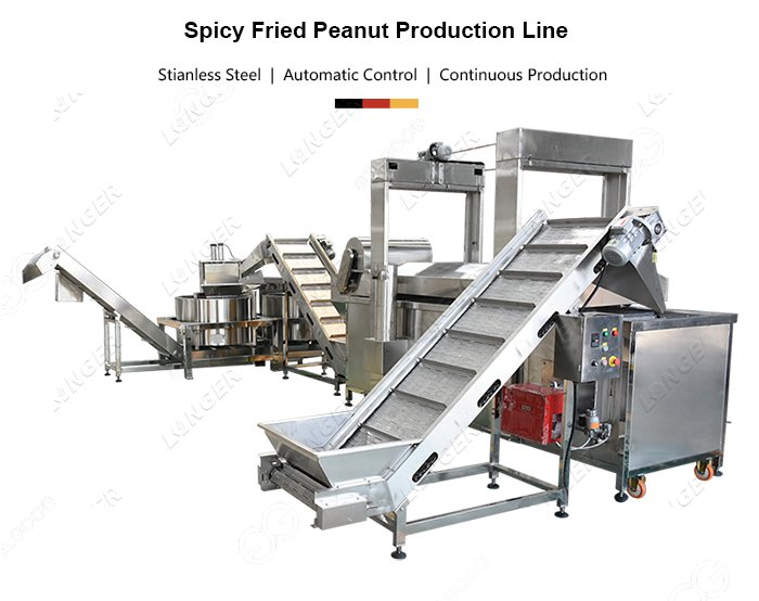 Fried Peanut Processing Line