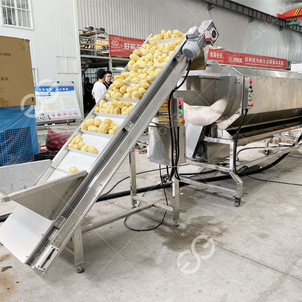 making potato french fries processing