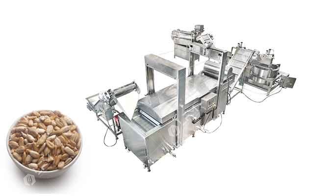 sunflower seed frying machine